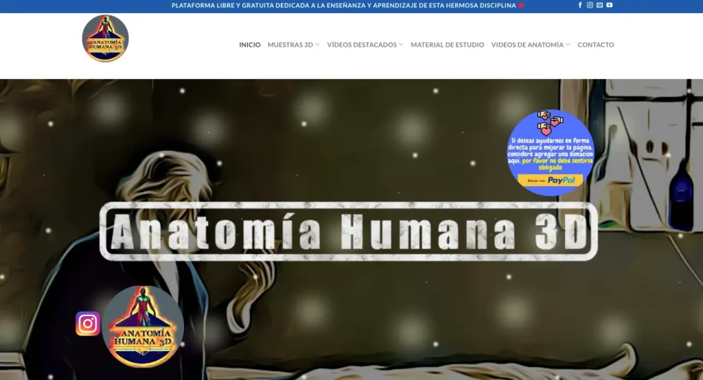 anatomia-humana